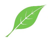 Sustainability Leaf